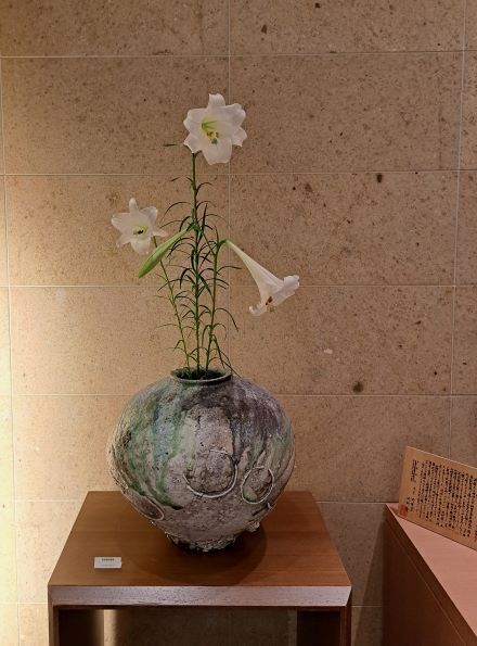 20220826_151922 (002).jpgの2.jpg