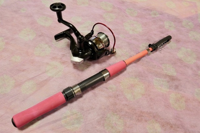 P1000026 (2).jpg
