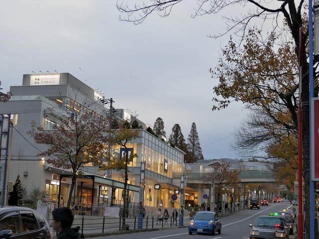 P1000160 (2).jpg