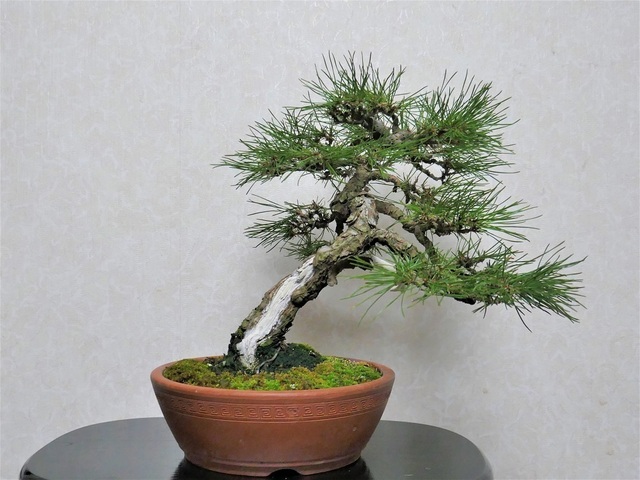 P1000620 (2).jpg