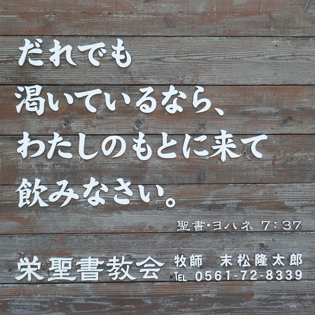 P1010979.jpg