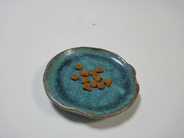 P1020156.jpg