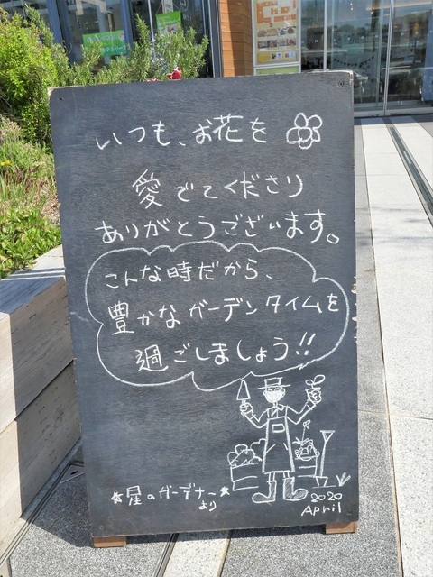 P1020333 (2).jpg