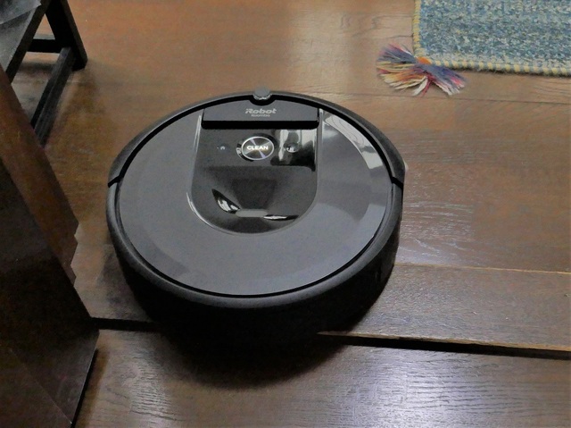 P1030037 (2).jpg