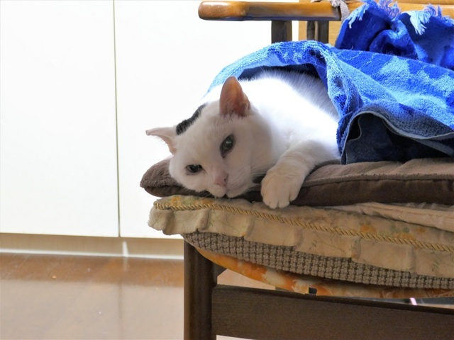 P1030070 (2).jpg