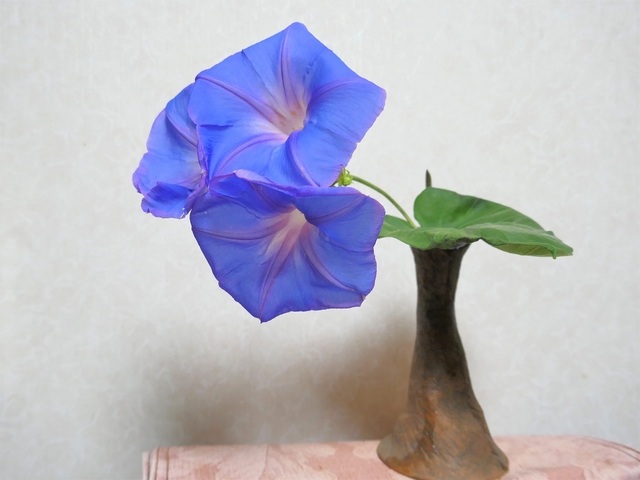 P1030759 (2).jpg