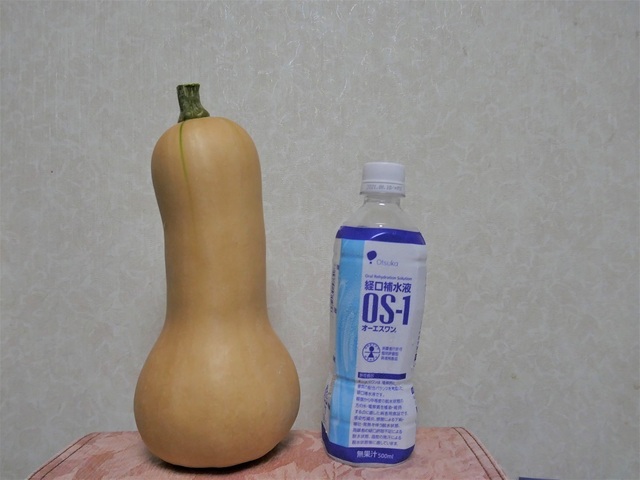 P1030810 (2).jpg