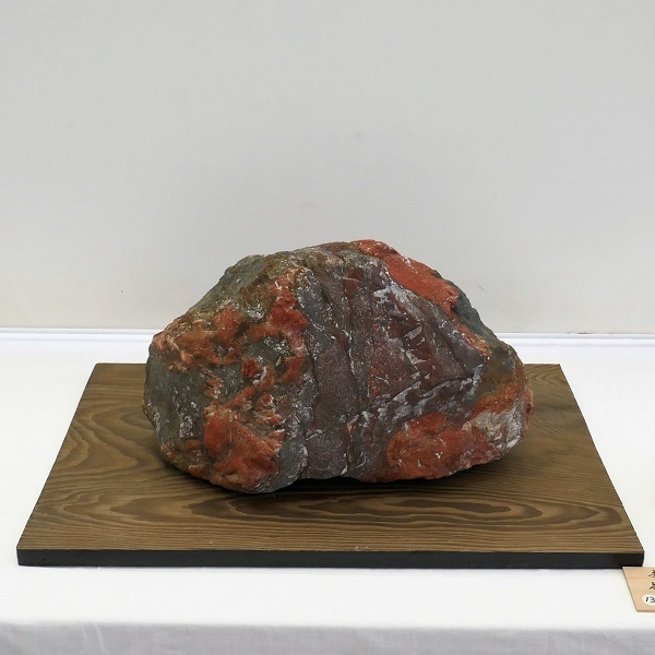 P1040233 (2).jpg