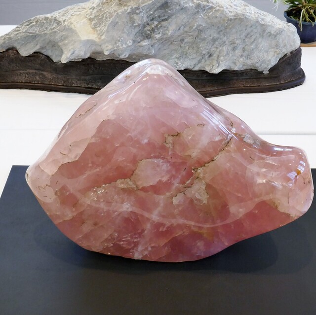 P1040252 (2).JPG