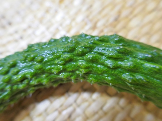P1050485 (2).jpg
