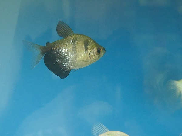 P1050670.jpg