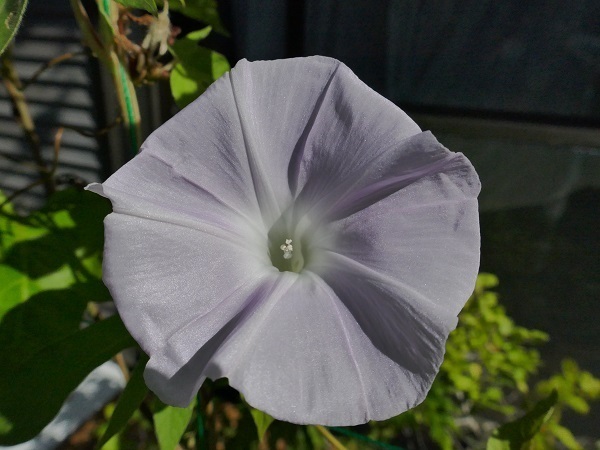 P1050944.jpg