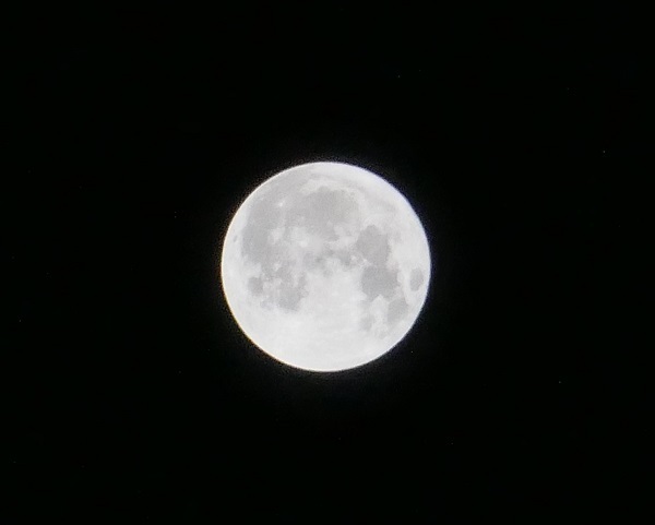 P1050991 (2).jpg