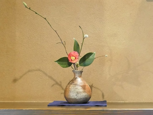 P1060724 (2).jpg