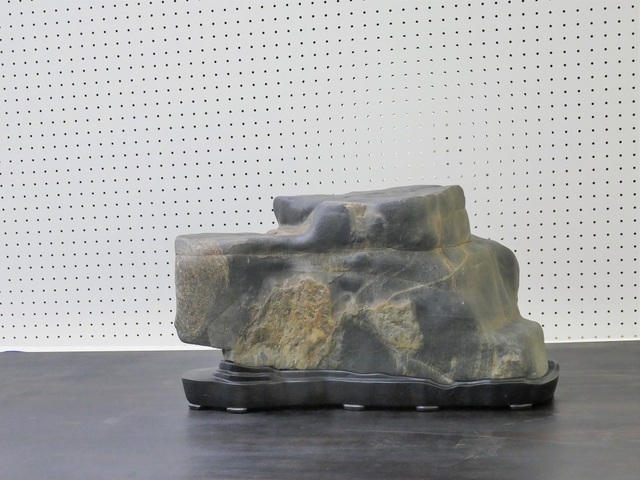 P1070321 (2).jpg
