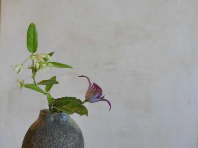 P1070362.JPG
