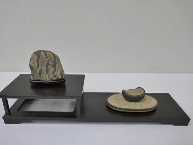 P1070412.JPG