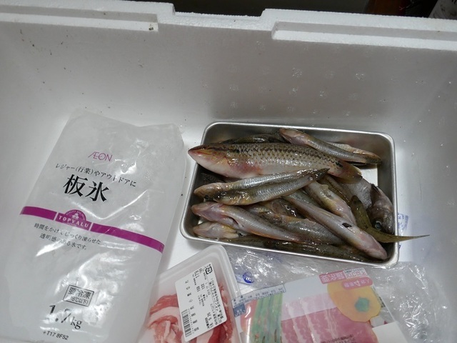 P1070756.jpg