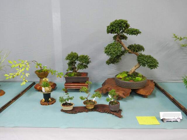 P1080011.JPG