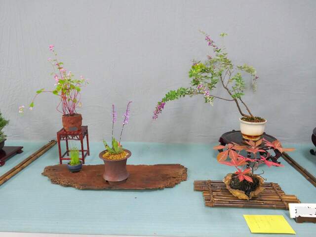 P1080013.JPG