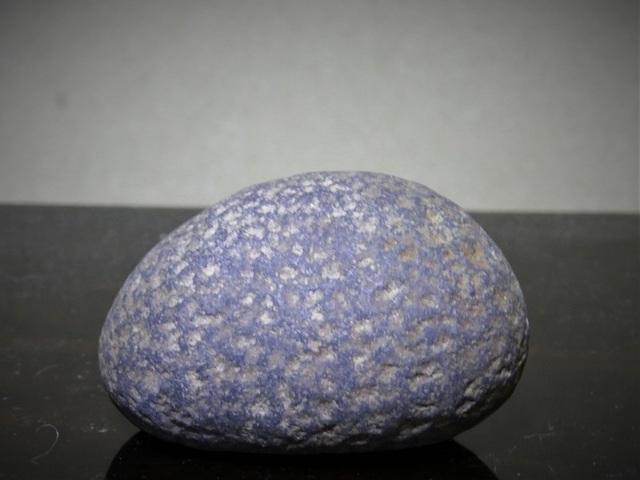 P1080475 (2).jpg