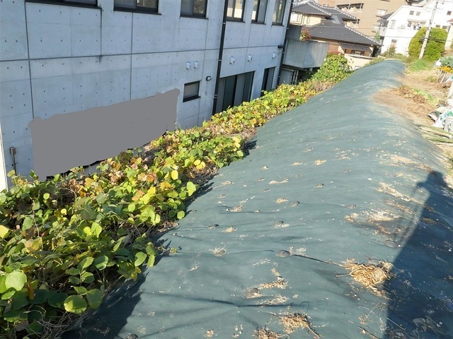 P1090539 (3)_LI.jpg