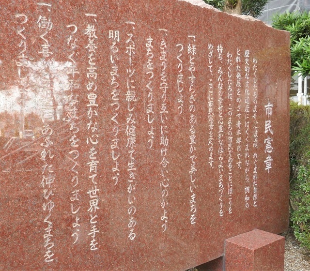 P1100044 (4).jpg