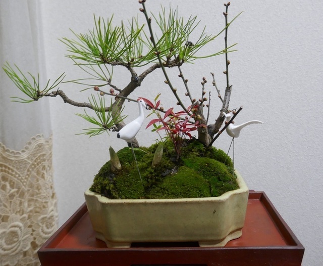 P1100143 (2).jpg