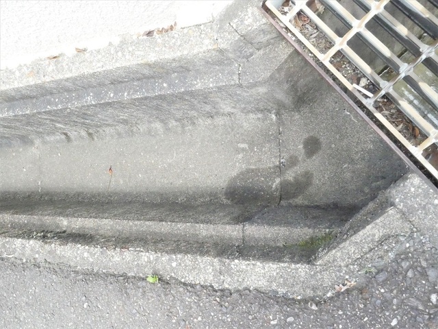 P1130562 (2).jpg